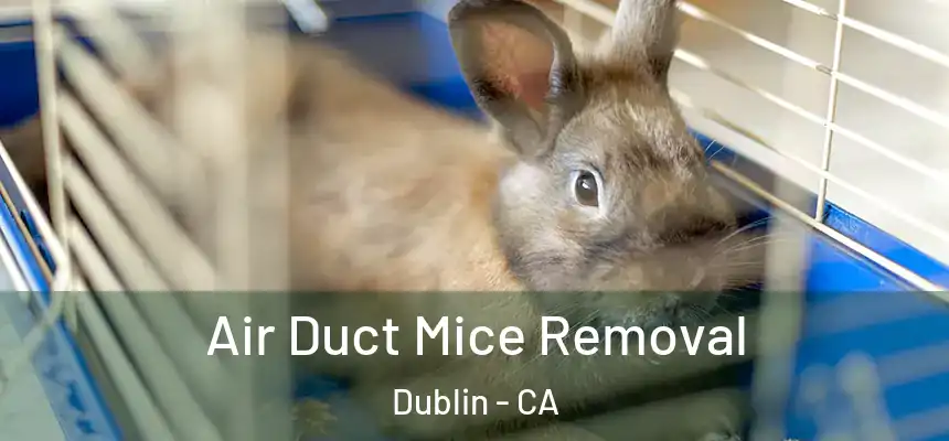 Air Duct Mice Removal Dublin - CA