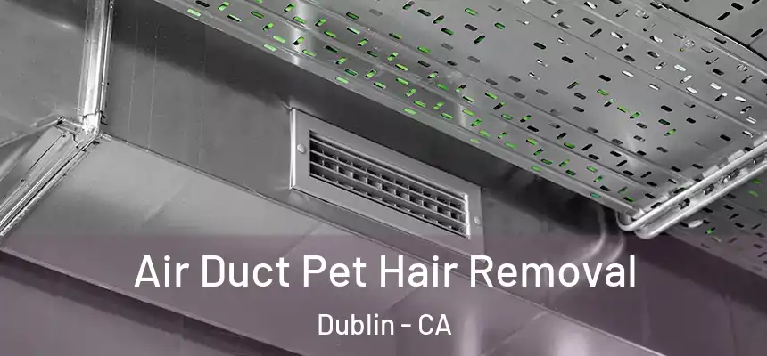  Air Duct Pet Hair Removal Dublin - CA