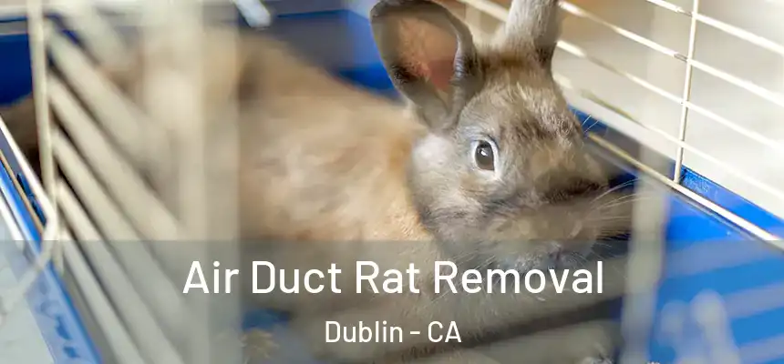 Air Duct Rat Removal Dublin - CA