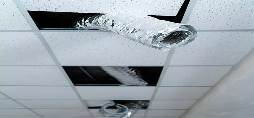 Affordable HVAC Sanitizing After Pest Removal in Dublin