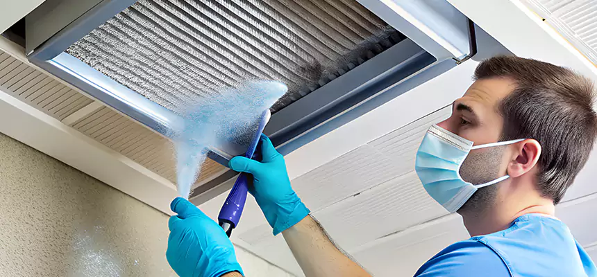 Proactive Dryer Vent & Auxiliary Duct Pollen Cleanup in Dublin, CA