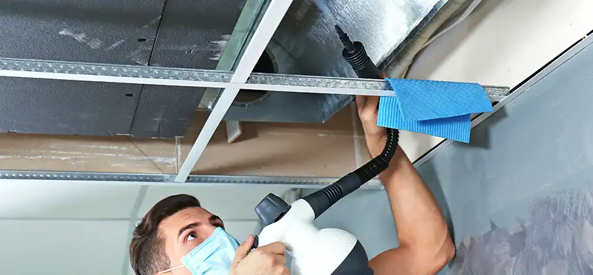 Our Air Duct Rodent Removal Services in Dublin, CA
