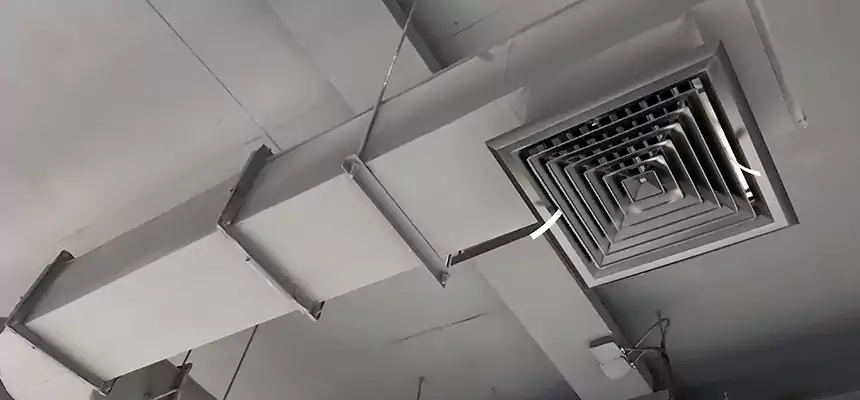 Our Pest Removal From Ducts Services in Dublin, CA