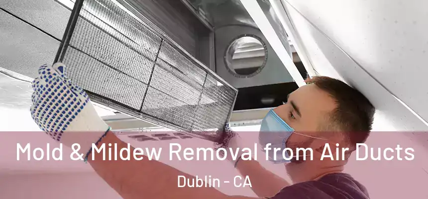 Mold & Mildew Removal from Air Ducts Dublin - CA