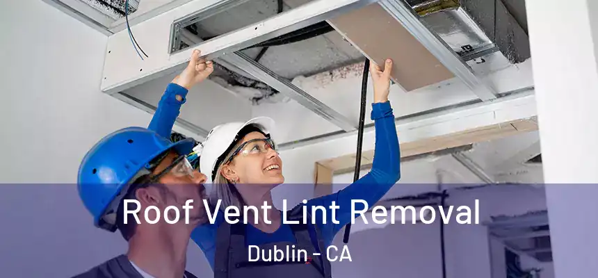 Roof Vent Lint Removal Dublin - CA