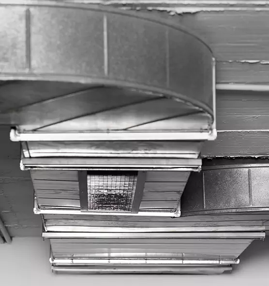 Professional Air Duct Pet Hair Removal in Dublin, CA