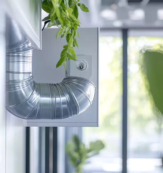 Professional Eco-Friendly Duct Cleaning Services in Dublin, CA