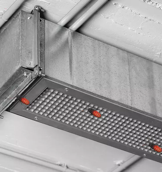Affordable Insect Removal from Air Ducts in Dublin, CA