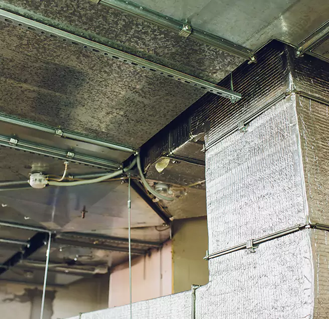 Why Homeowners & Businesses Trust Us in Dublin, CA?